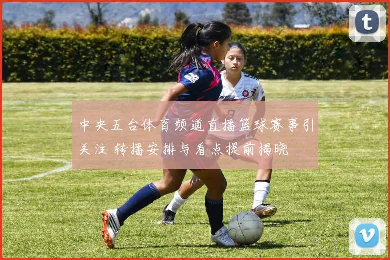 中央五台体育频道直播篮球赛事引关注 转播安排与看点提前揭晓